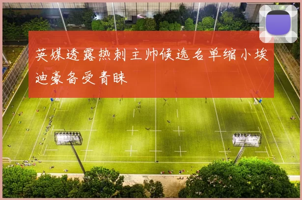 英媒透露热刺主帅候选名单缩小埃迪豪备受青睐